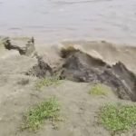 মানিকচক ব্লকে নদী ভাঙন তলিয়ে গেল ১৫০ মিটার জমি, ট্র্যাক্টর, গাড়ি