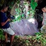 ডুয়ার্সে কাঞ্চনকন্যা এক্সপ্রেসের ধাক্কায় হাতির মৃত্যু