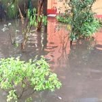 ধূপগুড়ি শহরে জলজট! প্রশাসনিক উদাসীনতায় ভুগছে সাধারণ মানুষ