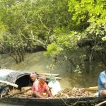 সুন্দরবন : প্রকৃতি, বন্যপ্রাণী ও মানুষের সহাবস্থানের বিস্ময়