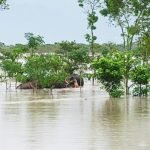 ভুটান পাহাড় ও ডুয়ার্সে টানা বৃষ্টি, ভয়াবহ বন্যা ও ধসে বিপর্যস্ত উত্তরবঙ্গ