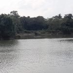 মান্থার প্রকোপ ও অকাল বৃষ্টিতে বিপর্যস্ত হাওড়ার কৃষক সমাজ