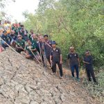 সপ্তাহ পার বাঘ নিয়ে নাজেহাল বনদপ্তর,এক রাতেই প্রায় ১৪ কিলোমিটার পাড়ি উপেন্দ্র নগর থেকে ধঞ্চি হয়ে পৌছালো সিতারামপুরে