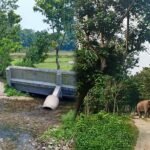 নানাই নদীর সেতু ভেঙে পড়াই জঙ্গল পথেই যাতায়াত